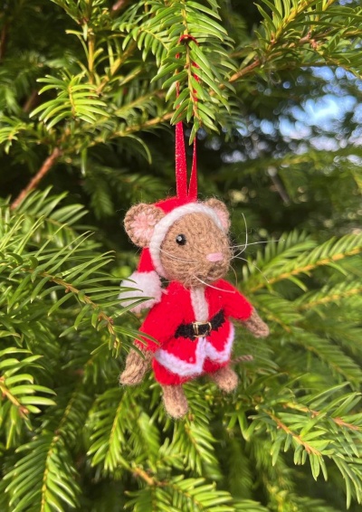 Win a Christmas Mouse competition